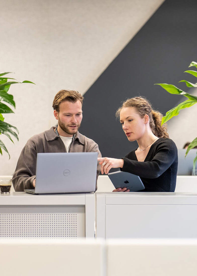 Diensten The Spidermonkeys