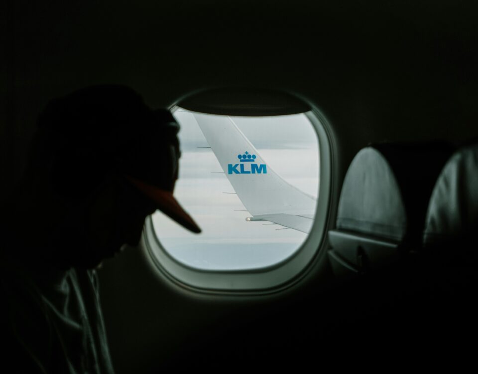 KLM case - Thespidermonkeys